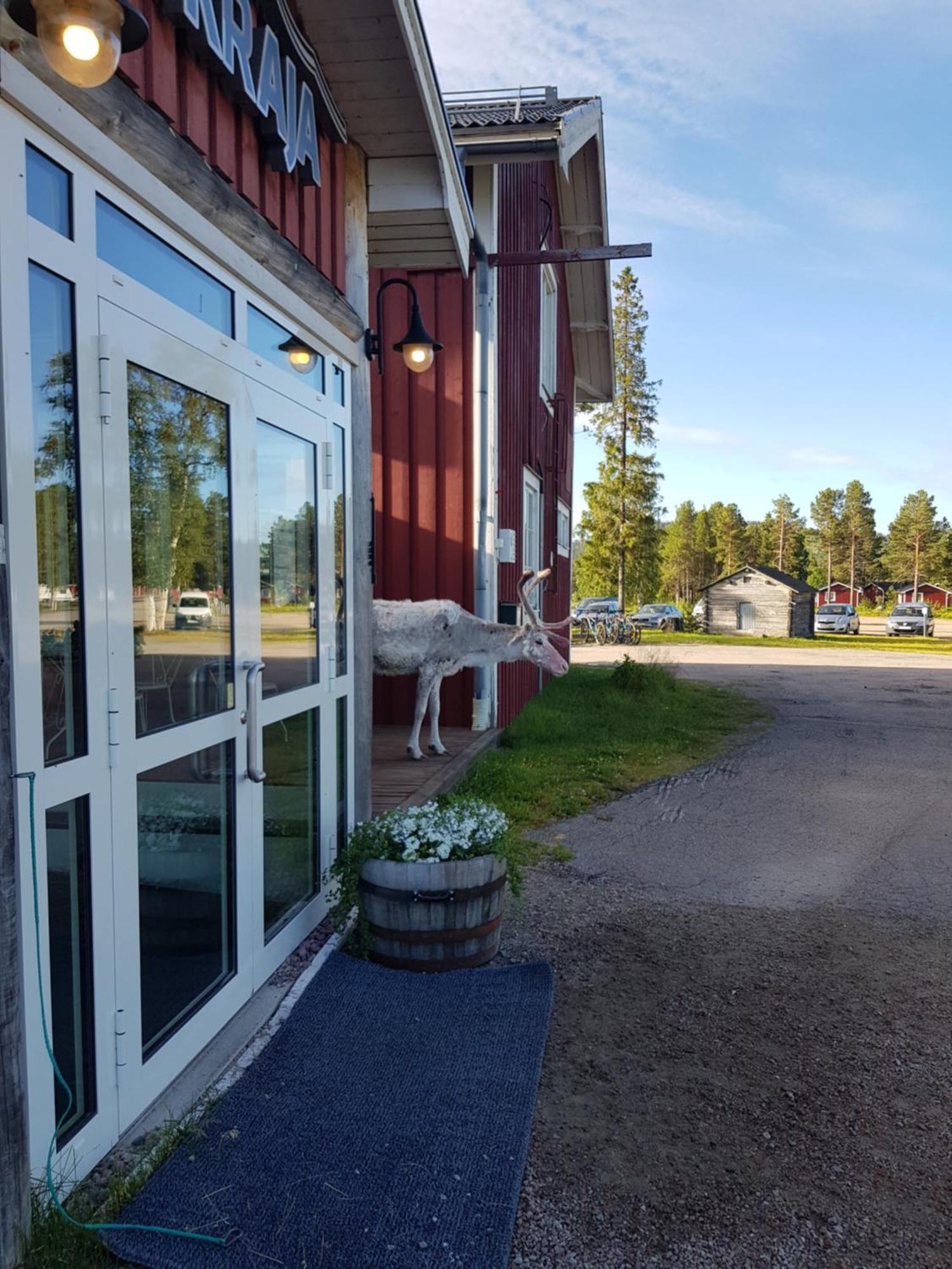 Kraja Hotel Arjeplog Exterior foto